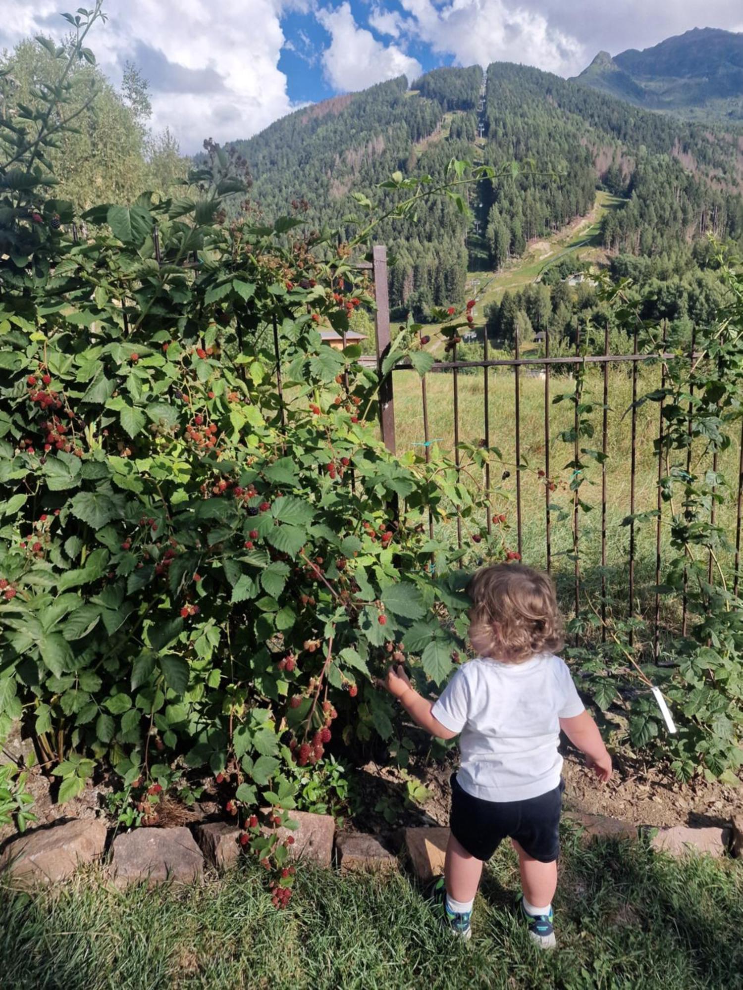 B&B Le Ciaf Temù Eksteriør billede